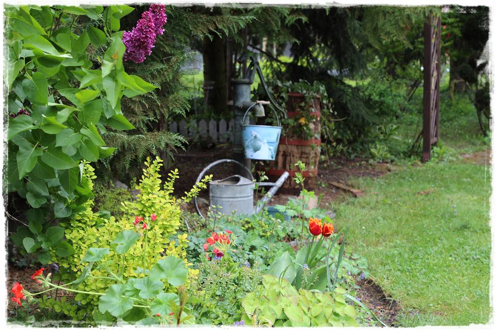 Rustykalny ogród 53 Rustykalny ogród 53