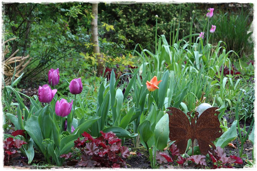 Rustykalny ogród 54 Rustykalny ogród 54