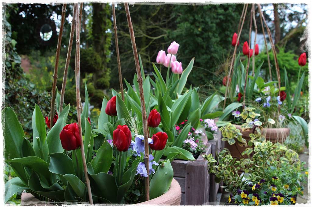 Rustykalny ogród 57 Rustykalny ogród 57