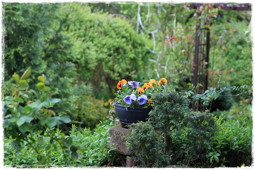 Rustykalny ogród 58 Rustykalny ogród 58