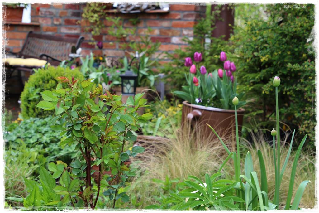 Rustykalny ogród 60 Rustykalny ogród 60