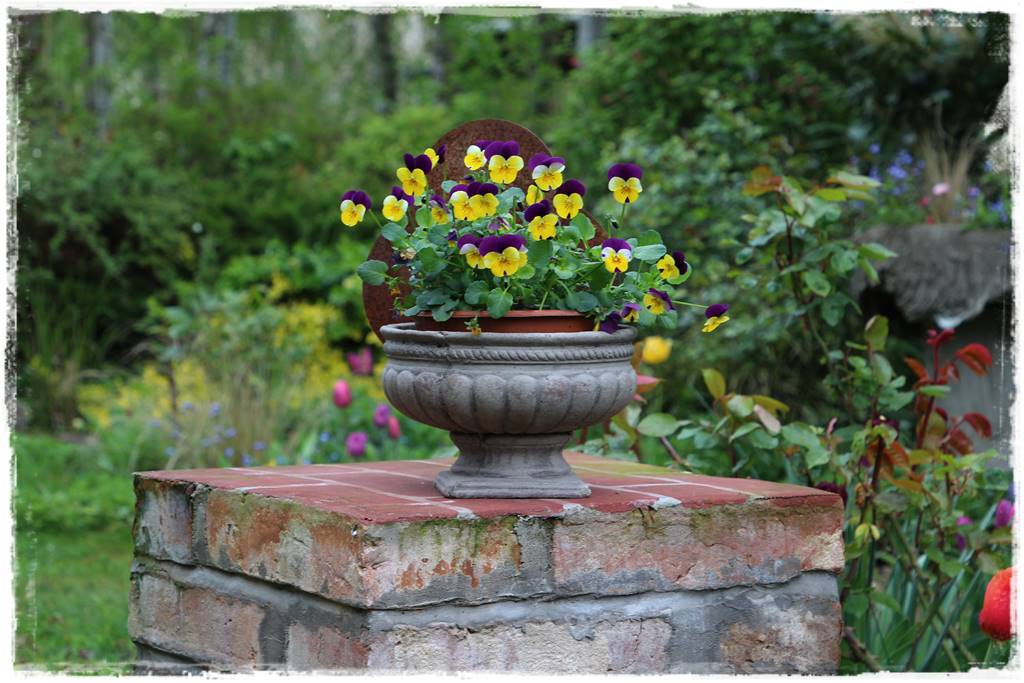 Rustykalny ogród 61 Rustykalny ogród 61