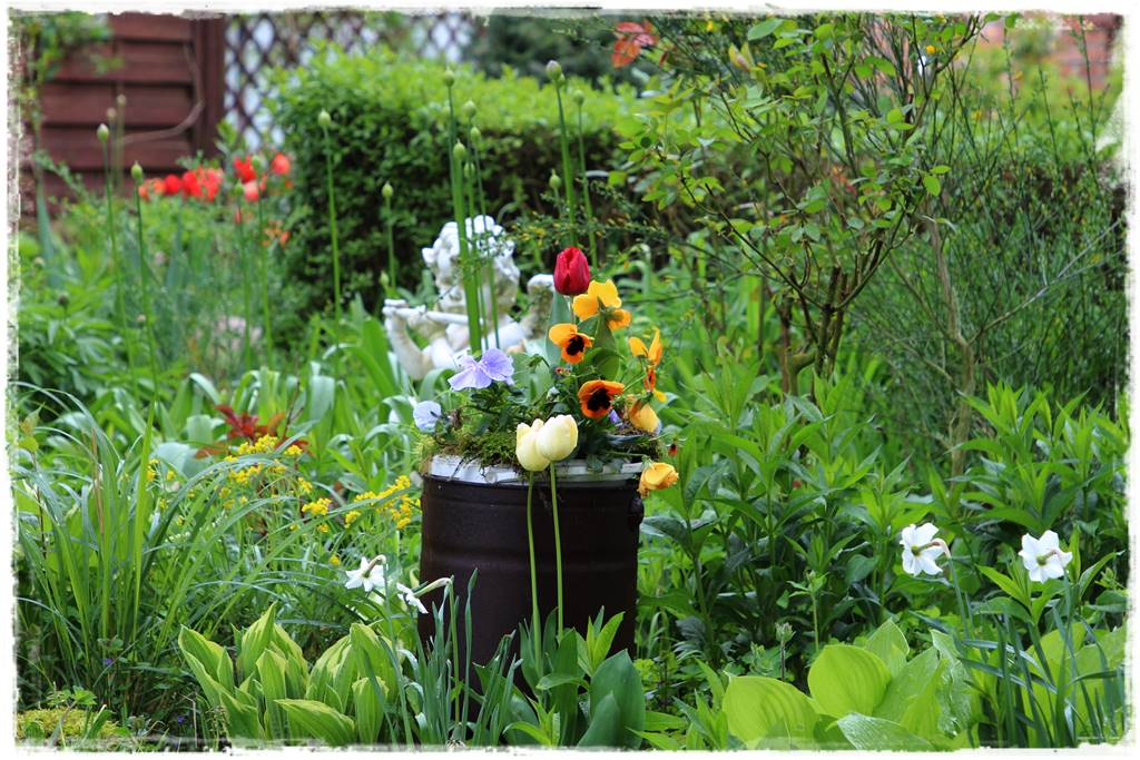 Rustykalny ogród 62 Rustykalny ogród 62