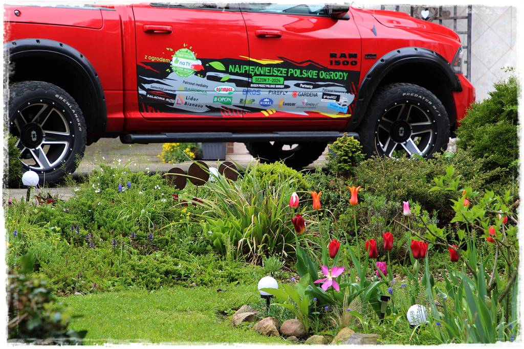 Rustykalny ogród 99