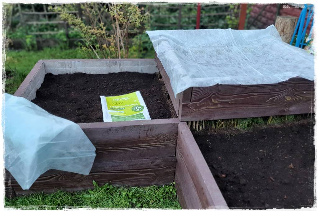 Sposób na wiosenne przymrozki 22 Sposób na wiosenne przymrozki 22