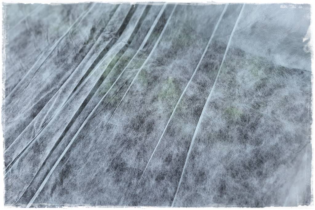 Sposób na wiosenne przymrozki 28