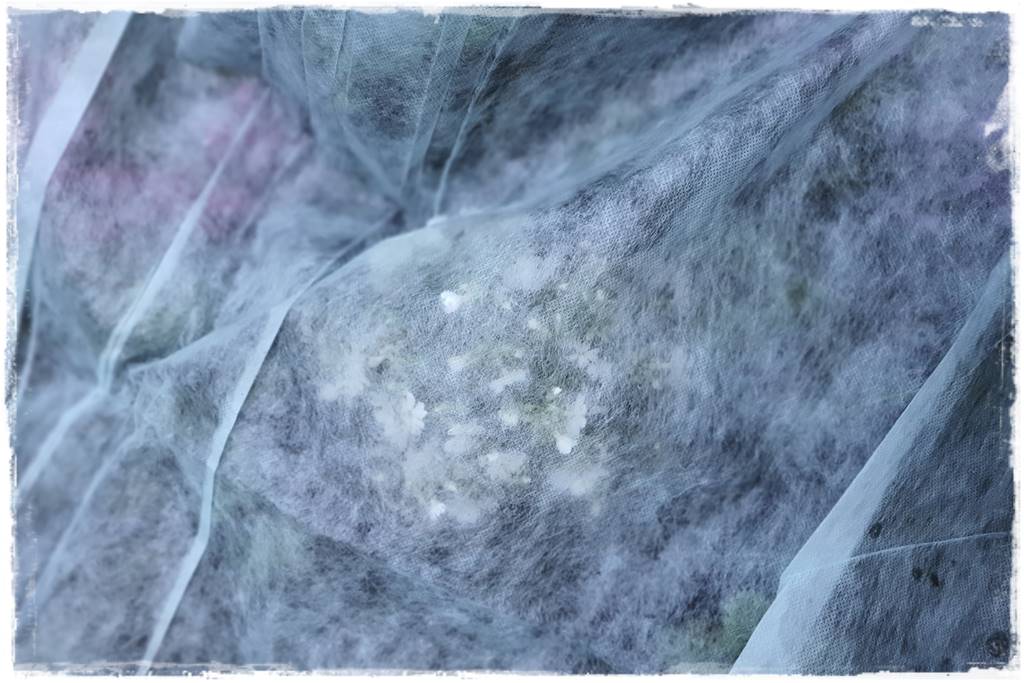 Sposób na wiosenne przymrozki 29