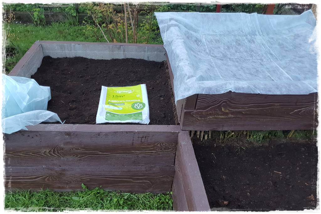 Sposób na wiosenne przymrozki 37 Sposób na wiosenne przymrozki 37