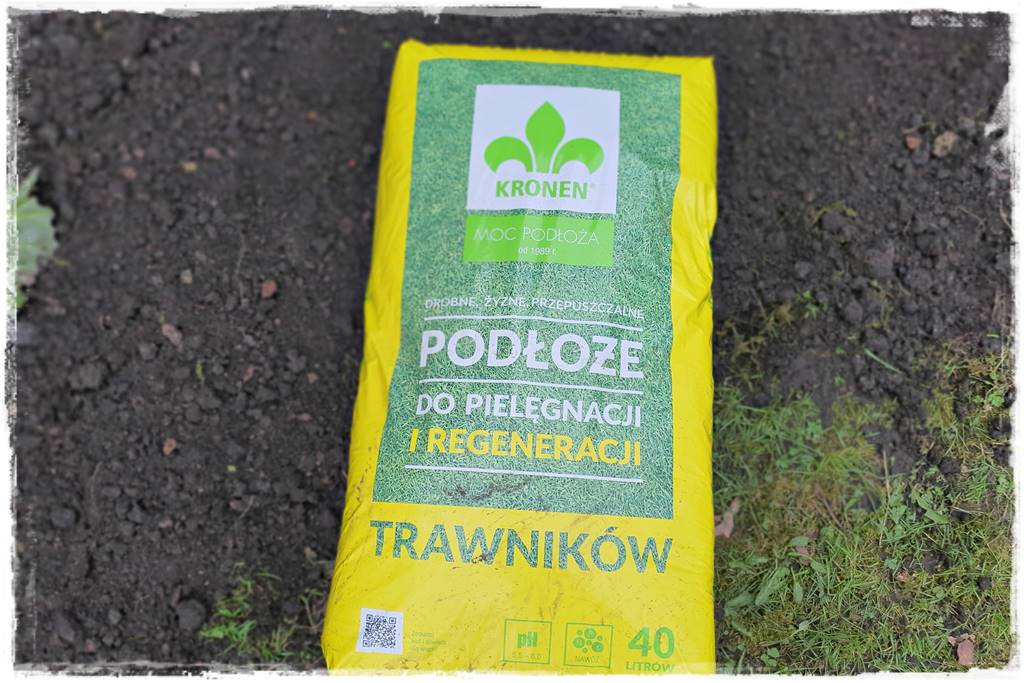 Trawnik na wiosnę 11 Trawnik na wiosnę 11