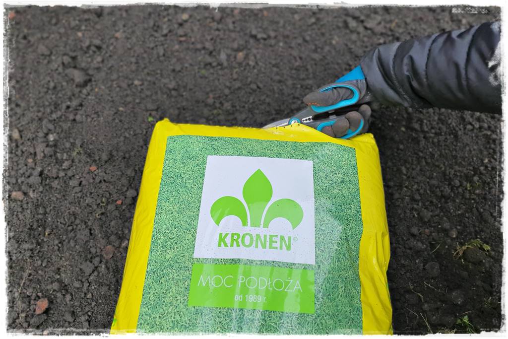 Trawnik na wiosnę 11a Trawnik na wiosnę 11a