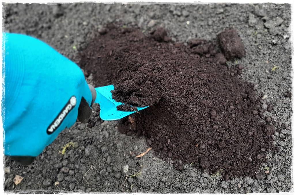 Trawnik na wiosnę 11d Trawnik na wiosnę 11d