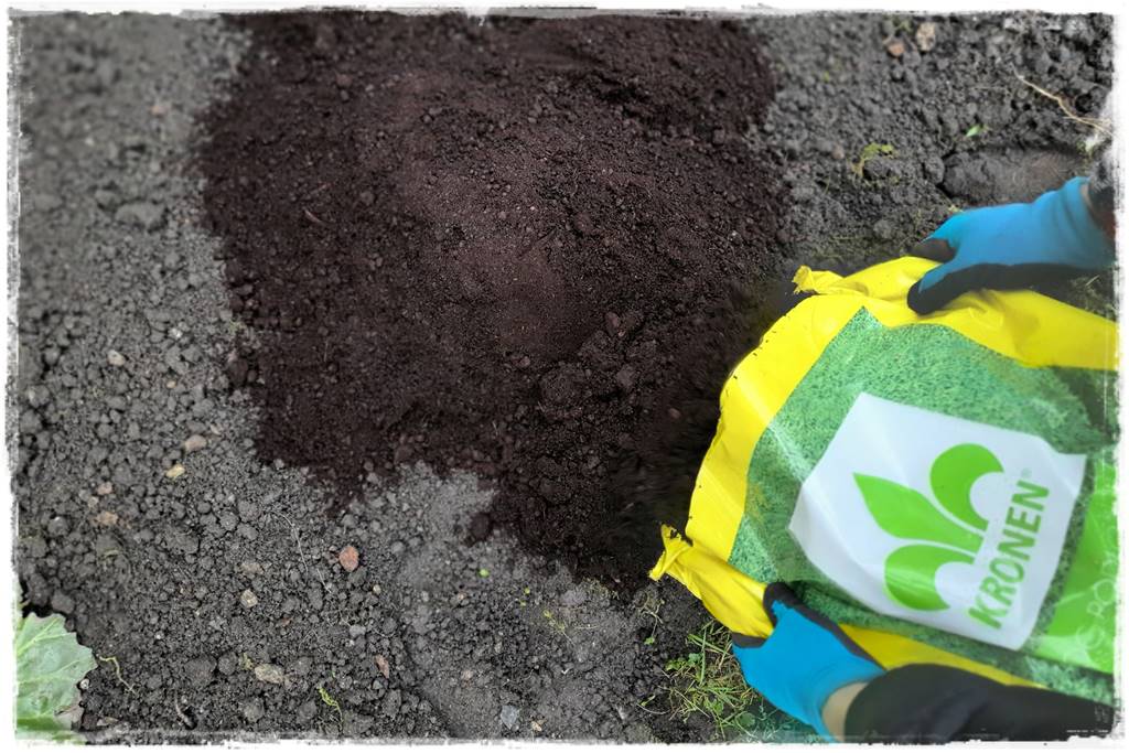 Trawnik na wiosnę 11e Trawnik na wiosnę 11e