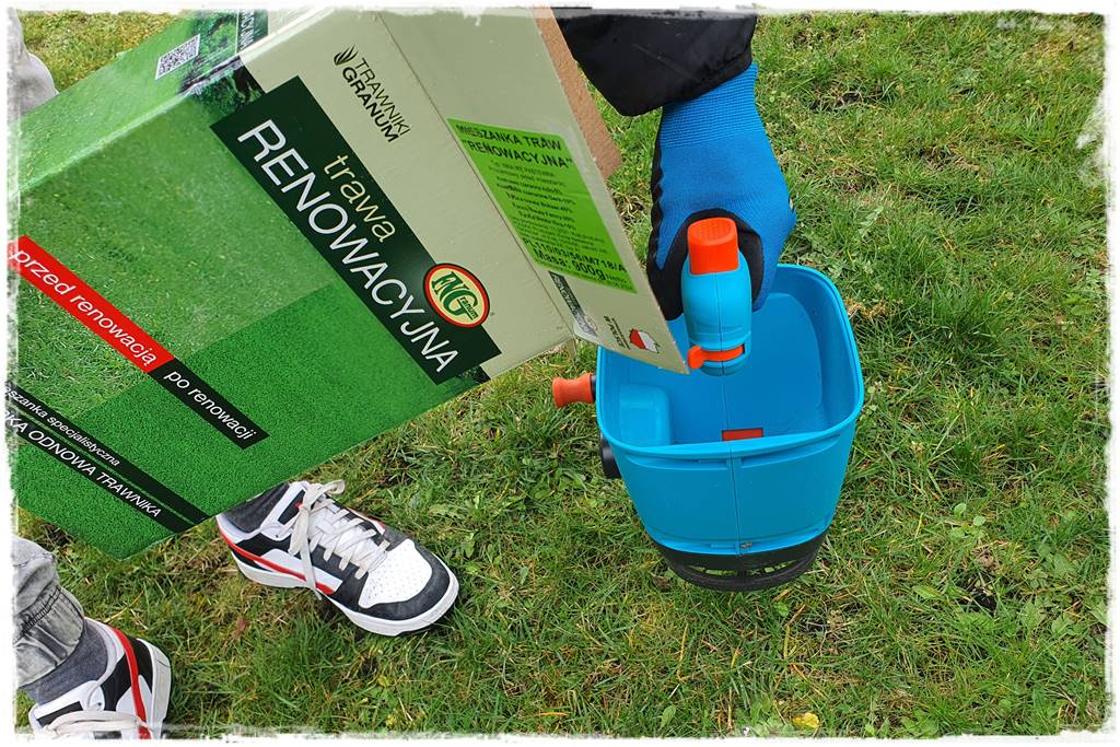 Trawnik na wiosnę 13a Trawnik na wiosnę 13a