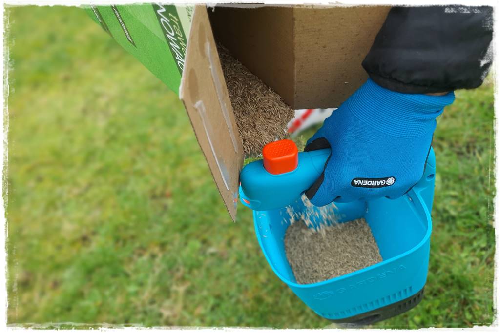 Trawnik na wiosnę 13b Trawnik na wiosnę 13b