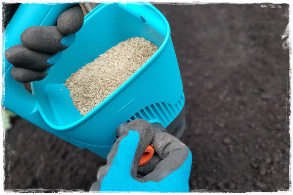 Trawnik na wiosnę 14 Trawnik na wiosnę 14