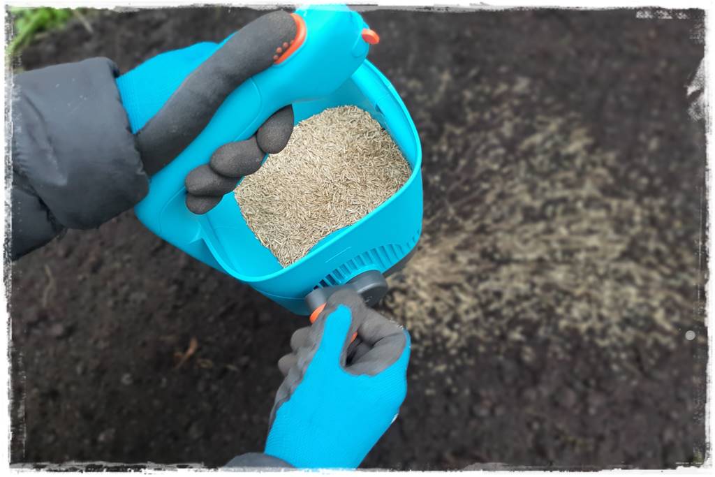 Trawnik na wiosnę 14a Trawnik na wiosnę 14a