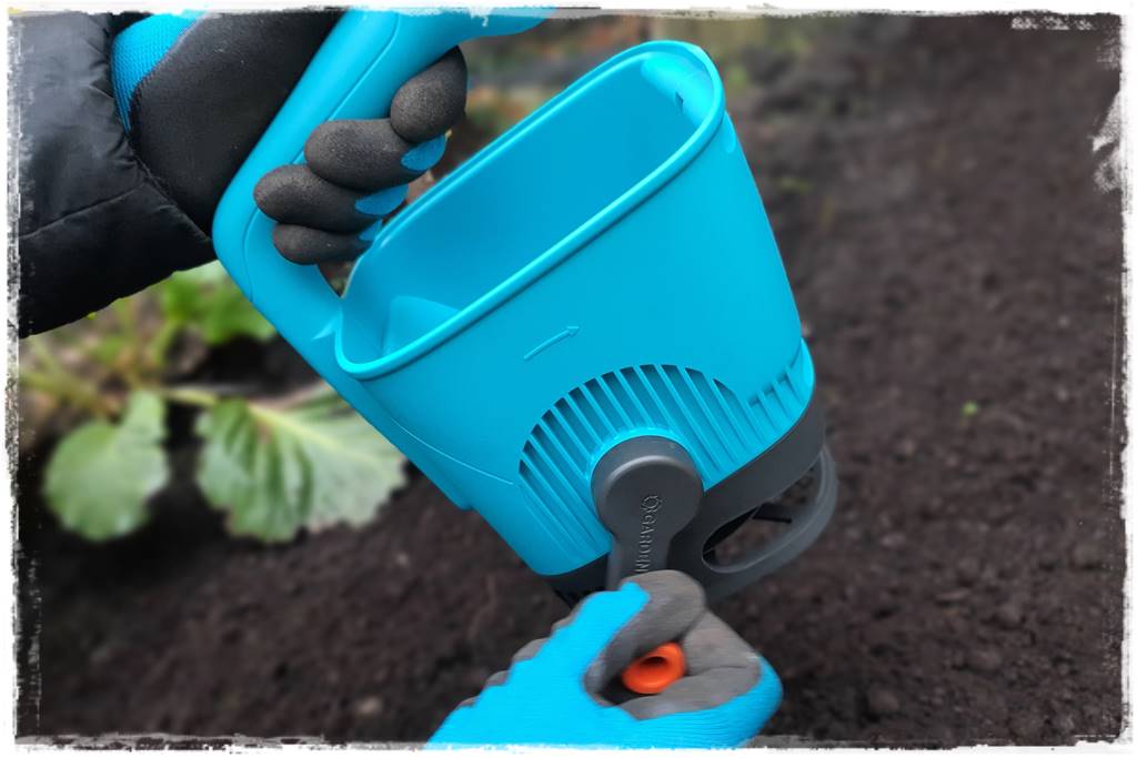 Trawnik na wiosnę 17 Trawnik na wiosnę 17