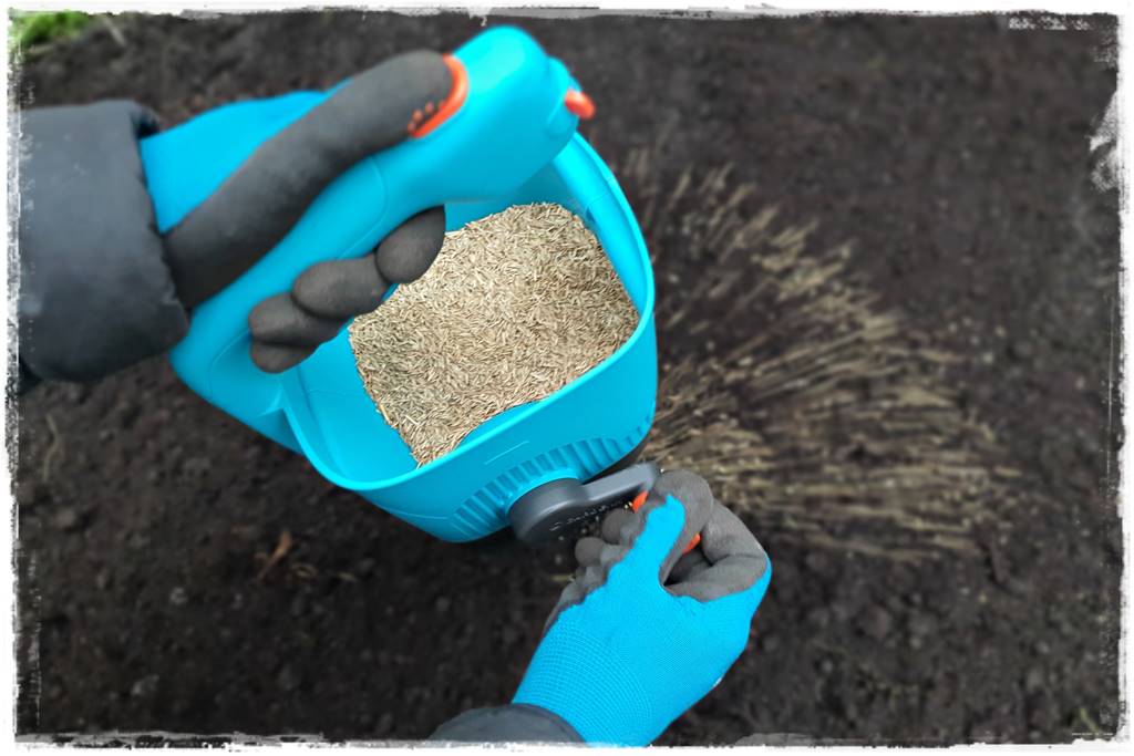 Trawnik na wiosnę 17a Trawnik na wiosnę 17a