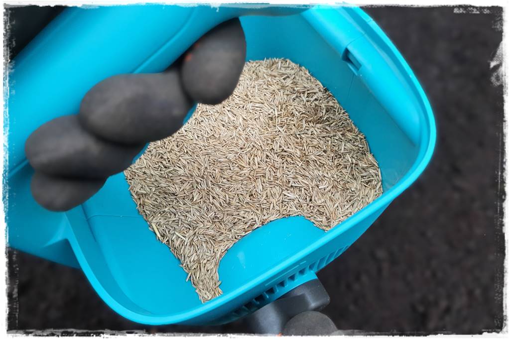 Trawnik na wiosnę 20 Trawnik na wiosnę 20