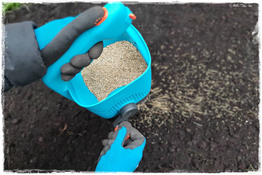 Trawnik na wiosnę 20a Trawnik na wiosnę 20a