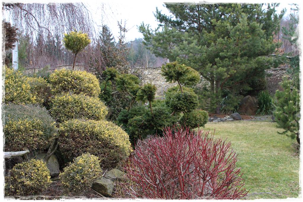 Trawnik na wiosnę 3a Trawnik na wiosnę 3a