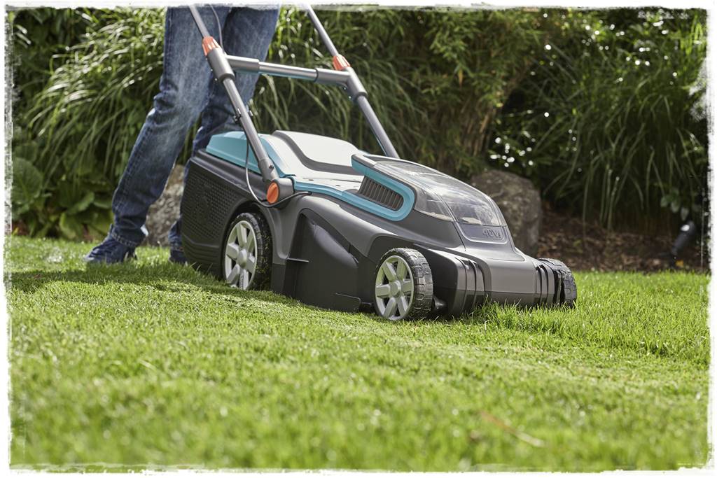 Trawnik na wiosnę 4