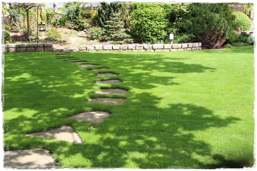 Trawnik na wiosnę 8