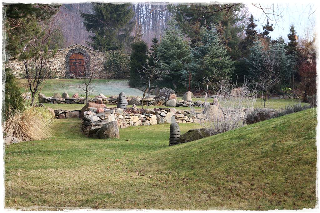 jak ożywić trawnik 1