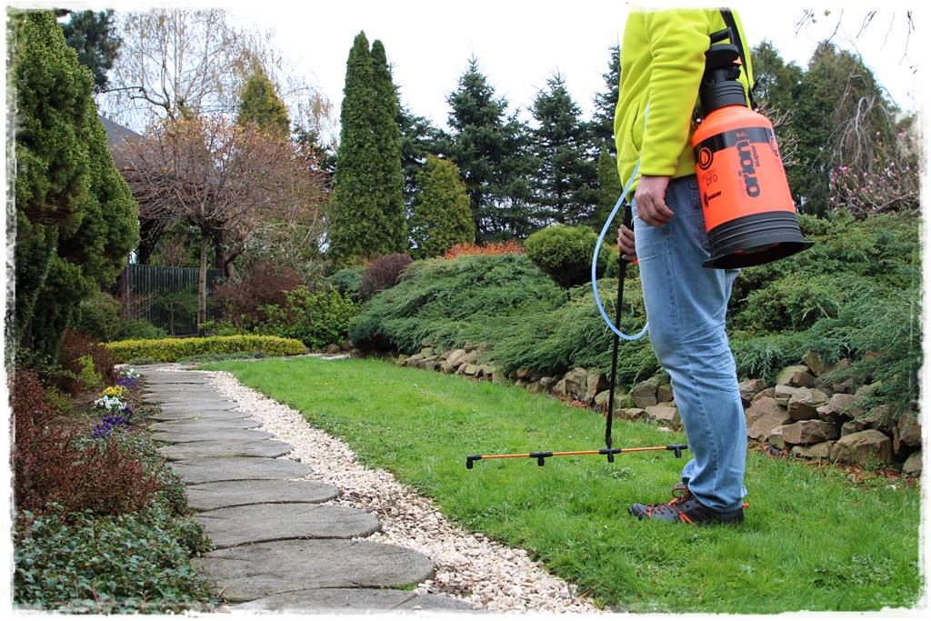 jak ożywić trawnik 11