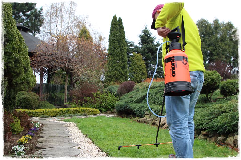 jak ożywić trawnik 11a