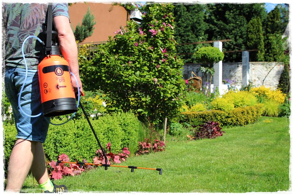 jak ożywić trawnik 12