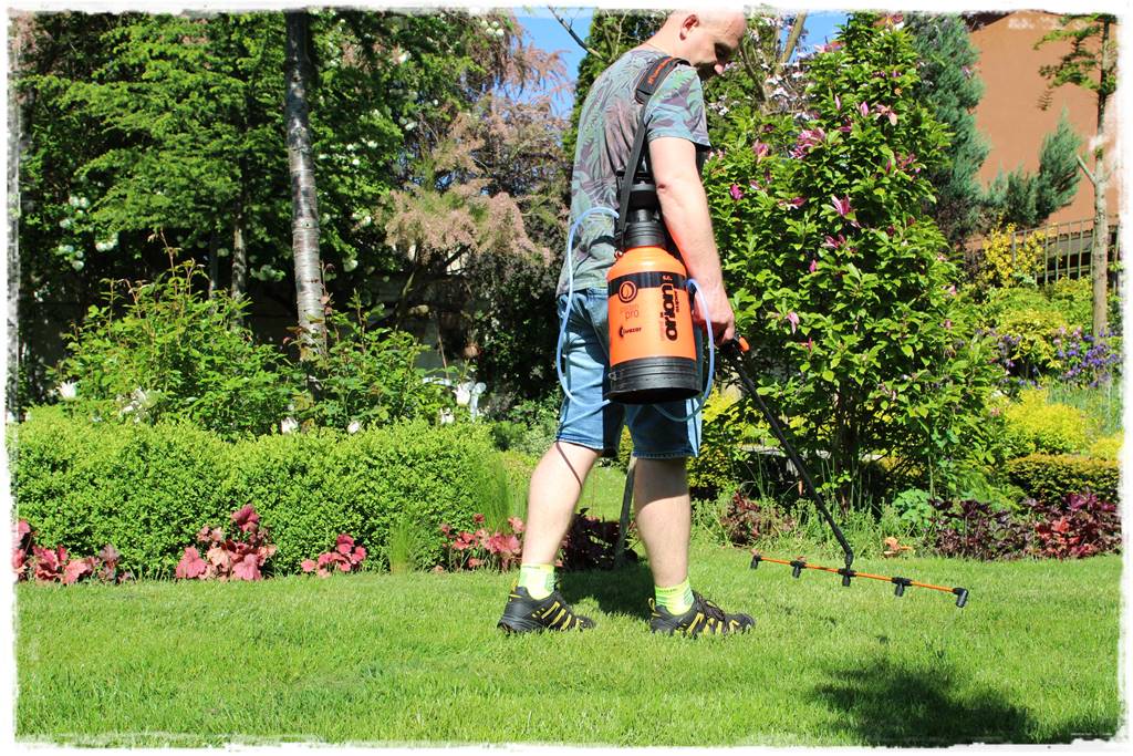 jak ożywić trawnik 12a