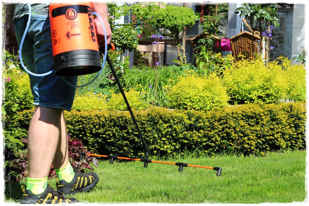 jak ożywić trawnik 12b