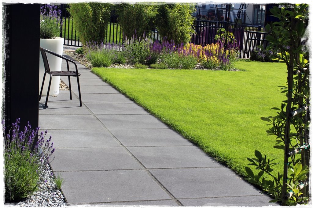 jak ożywić trawnik 15