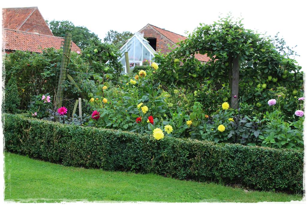 kwitnący jagodnik 3