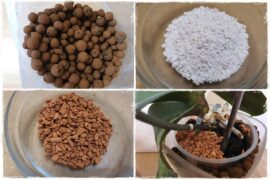 mineralne podłoża dla storczyków 0