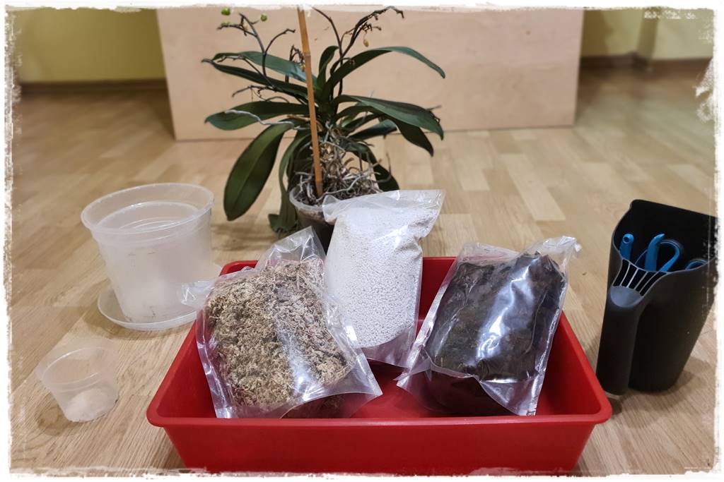 mineralne podłoża dla storczyków 1a