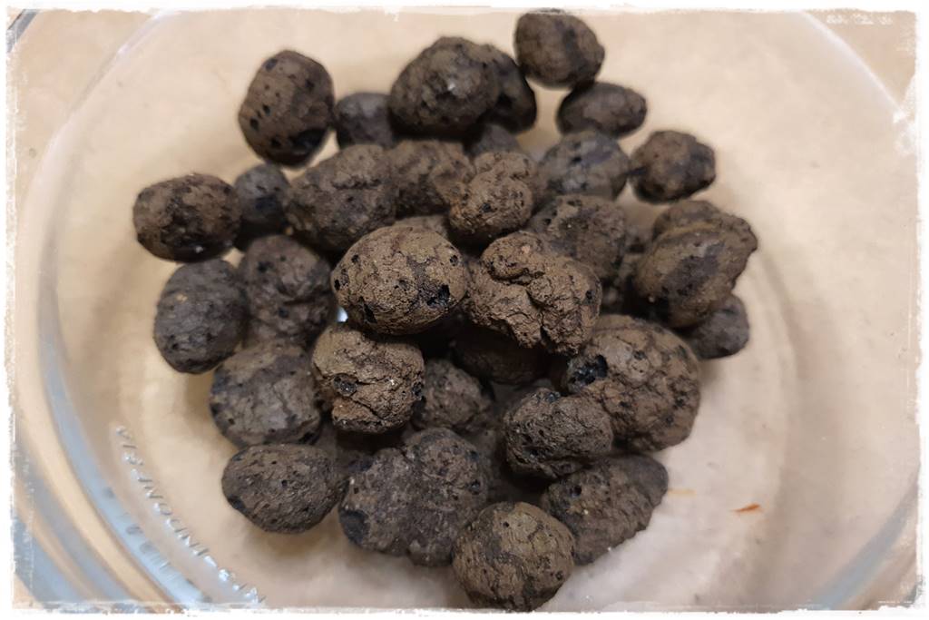 mineralne podłoża dla storczyków 2 mineralne podłoża dla storczyków 2