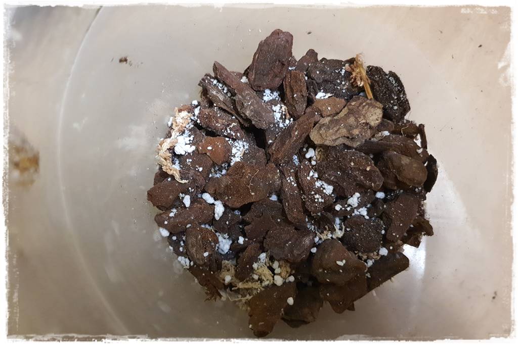 mineralne podłoża dla storczyków 6b mineralne podłoża dla storczyków 6b