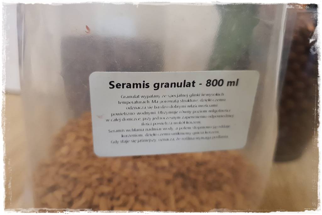 mineralne podłoża dla storczyków 7 mineralne podłoża dla storczyków 7