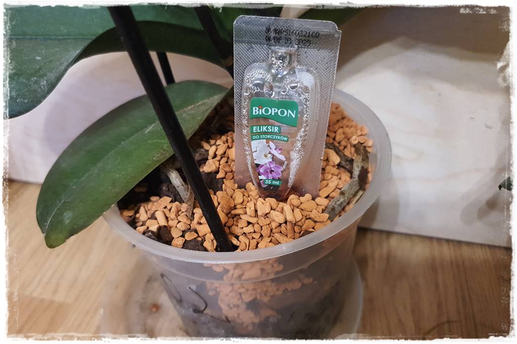 mineralne podłoża dla storczyków 7f mineralne podłoża dla storczyków 7f