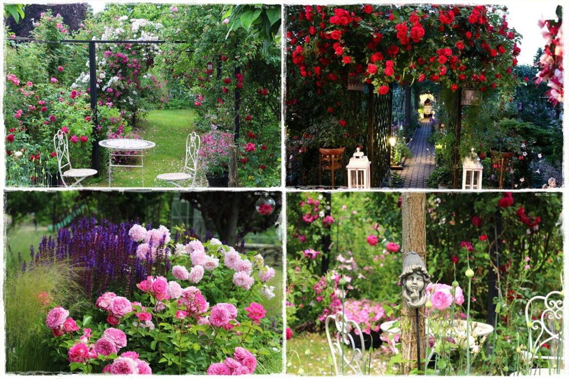 ogród romantyczny 0