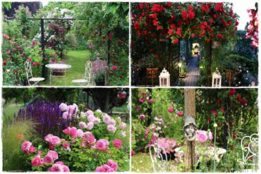 ogród romantyczny 0