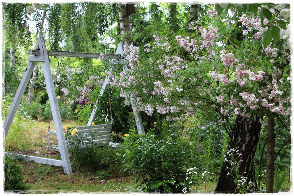 ogród romantyczny 1 ogród romantyczny 1