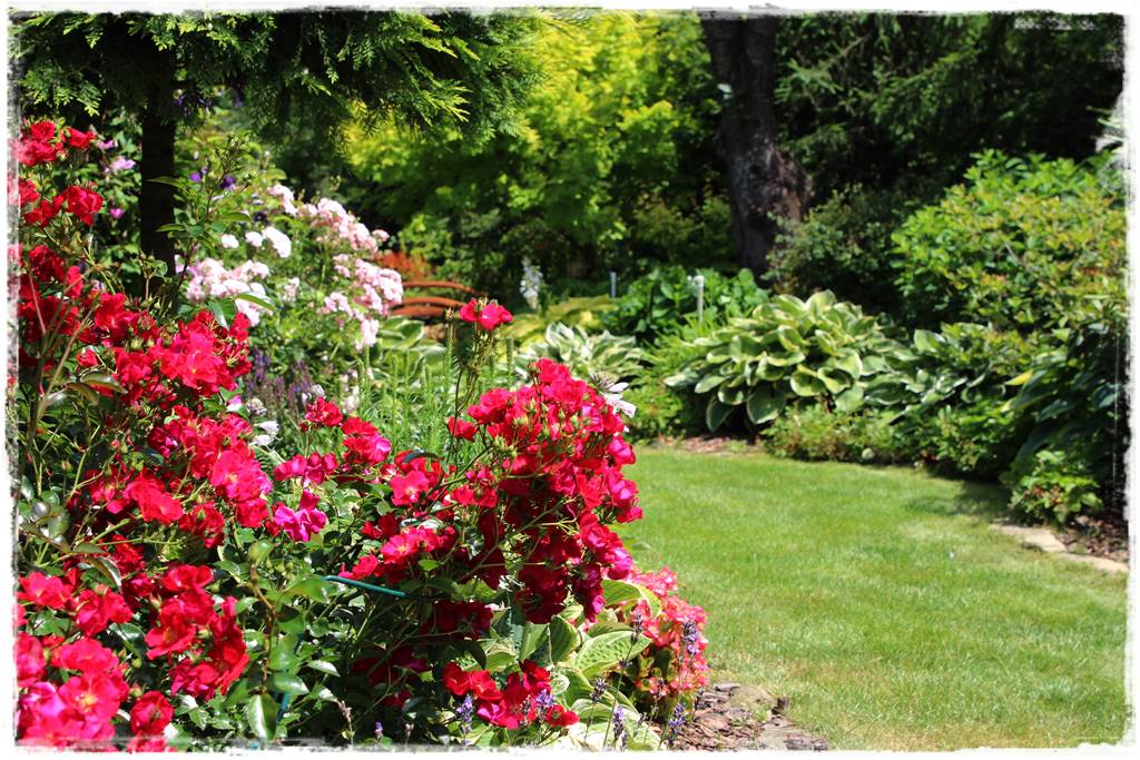 ogród romantyczny 12a ogród romantyczny 12a