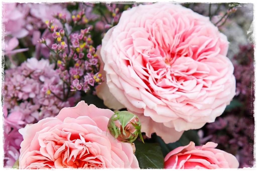 ogród romantyczny 16