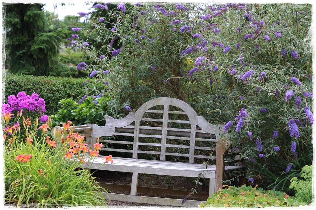 ogród romantyczny 1a ogród romantyczny 1a