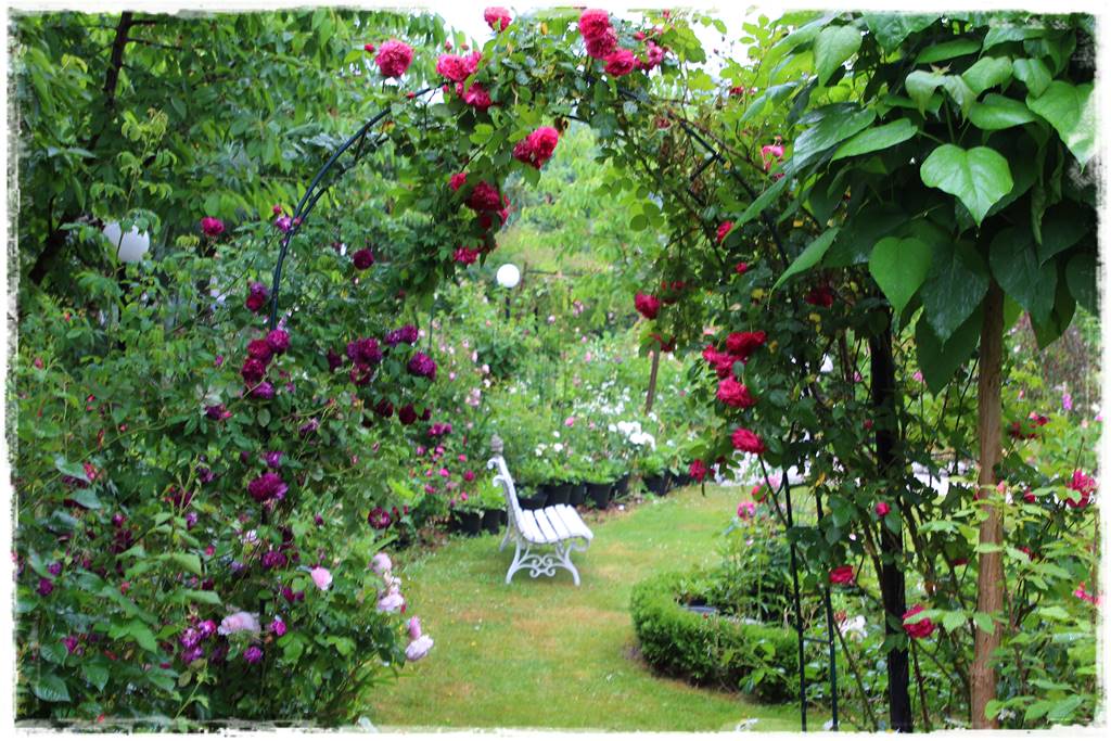 ogród romantyczny 1d ogród romantyczny 1d