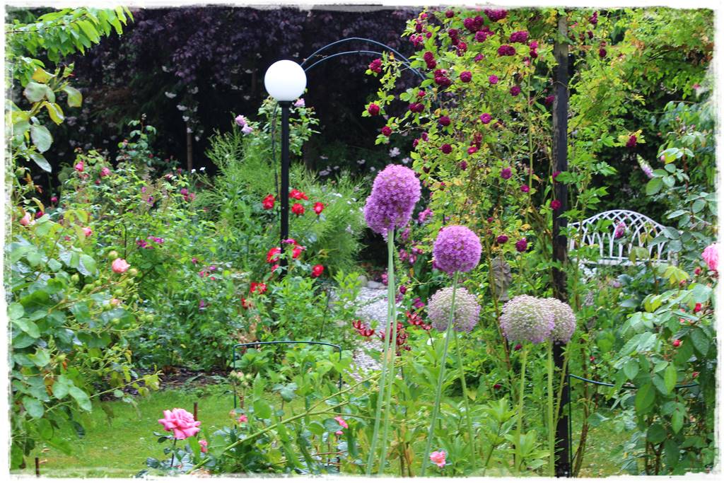ogród romantyczny 24a ogród romantyczny 24a