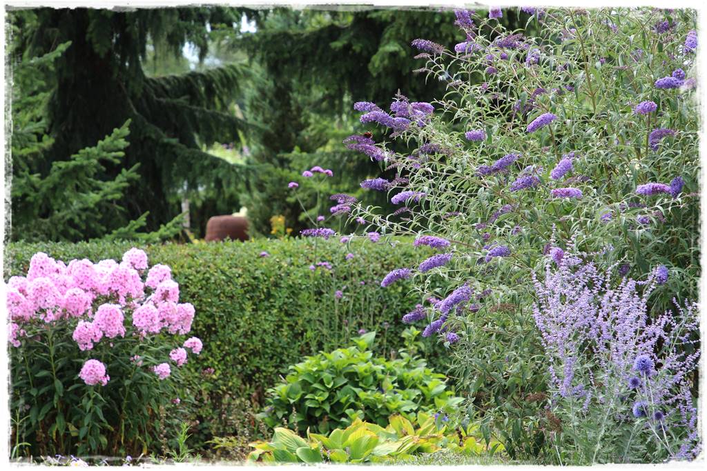 ogród romantyczny 26 ogród romantyczny 26